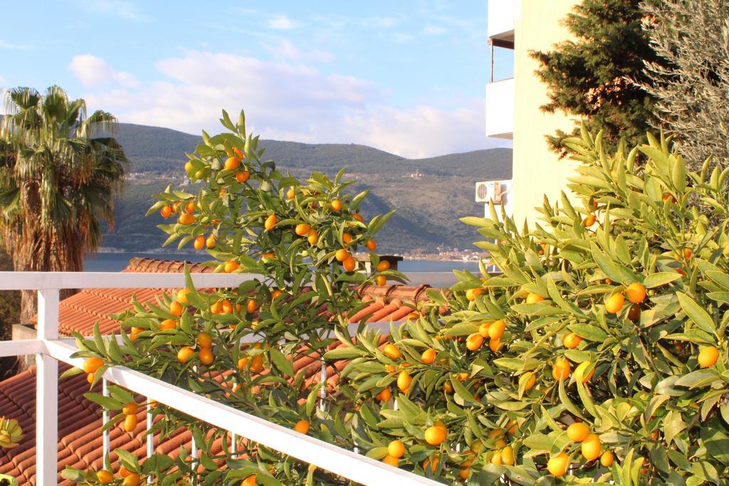 Guest House Tomanovic Herceg Novi Bagian luar foto